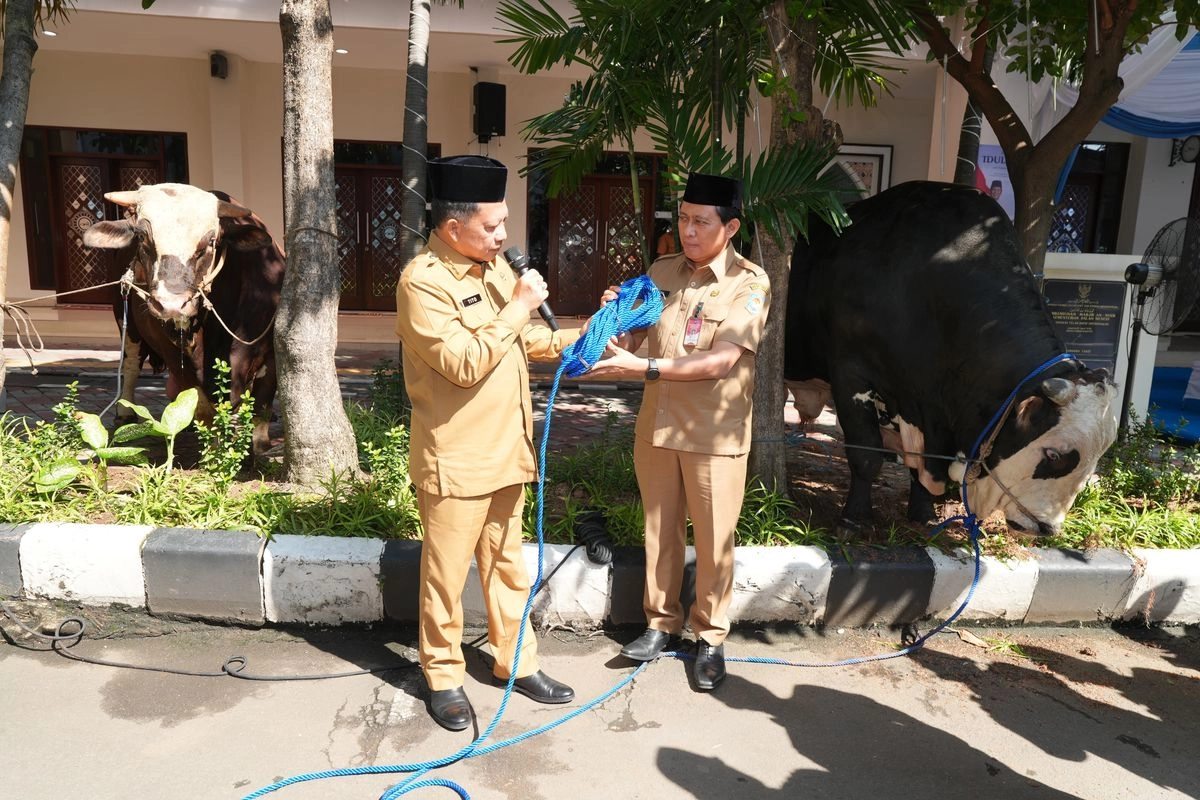 Sambut Idul Adha 1447 H, Mendagri Serahkan Hewan Kurban Kemendagri dan BNPP RI