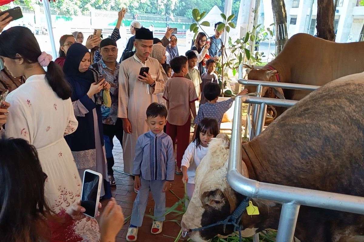 Menag Pimpin Penyembelihan Hewan Kurban Prabowo dan Gibran di Istiqlal
