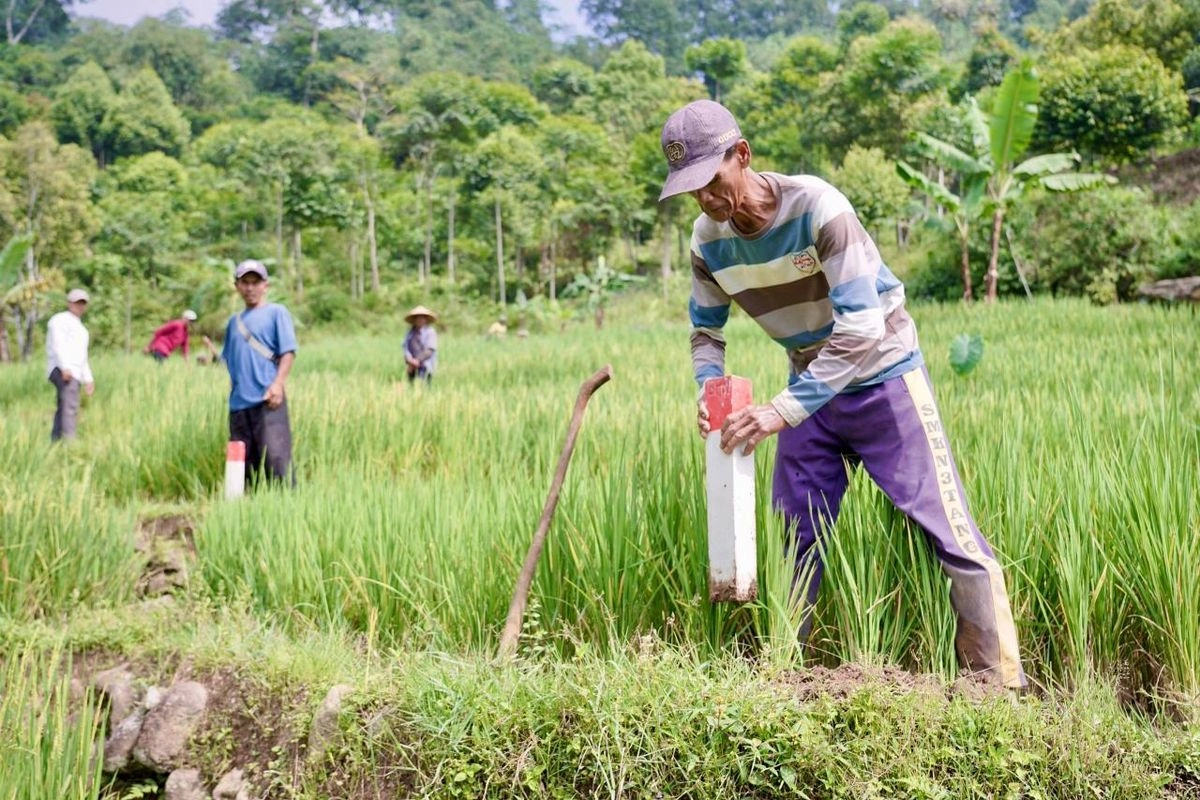 Begini Cara Pasang Patok Batas Tanah yang Benar