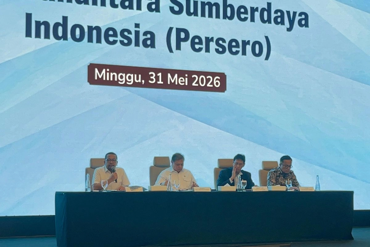 Danantara Umumkan Nama-Nama Petinggi PT DSI Pekan Depan