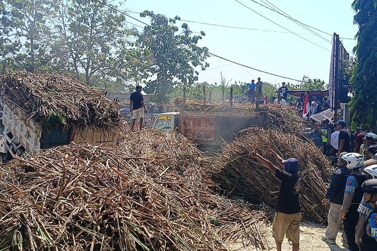 Bulog dan PT GMM Temui Petani Tebu, Bahas Penyerapan Hasil Panen