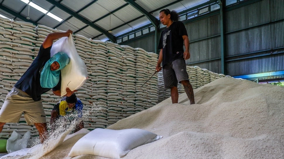 BPS Ramal Produksi Padi dan Beras Nasional Turun 3 Bulan ke Depan