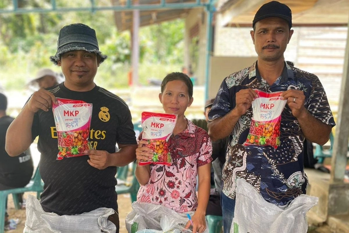 Bibit Dibagikan, Harapan Ekonomi Petani Dairi Ikut Tumbuh