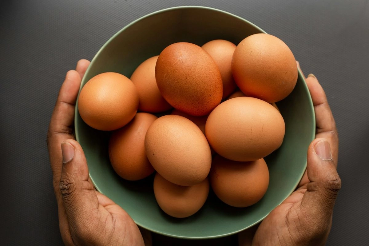 Harga Telur Anjlok, Kementan Surati BGN