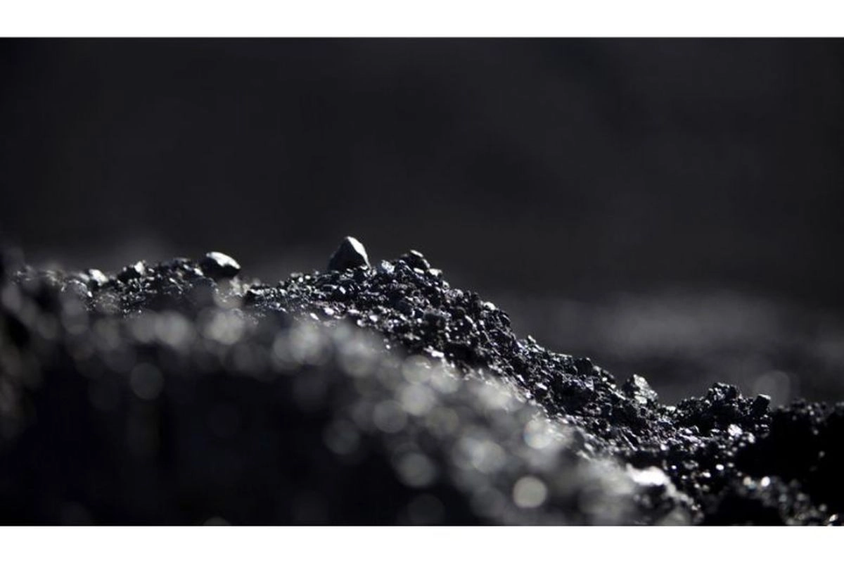 PT DSI Diminta Fokus Awasi Ekspor Sawit dan Batu Bara, Bukan Eksportir Tunggal