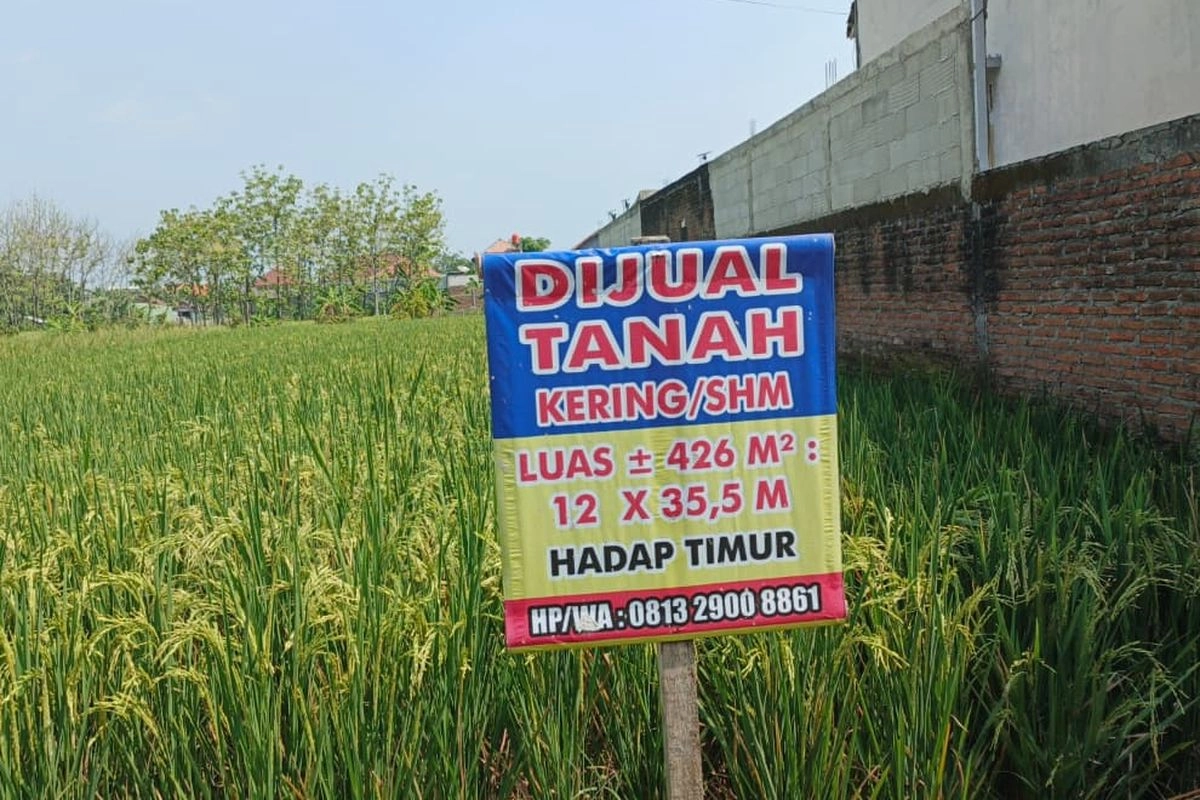 Tanah Anda Tiba-tiba Diklaim Orang Lain, Apa yang Harus Dilakukan?