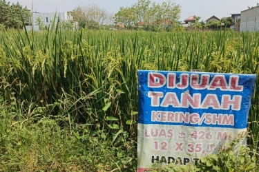 Tanah Bersertifikat Bisa Disita Bank? Ini Penjelasannya