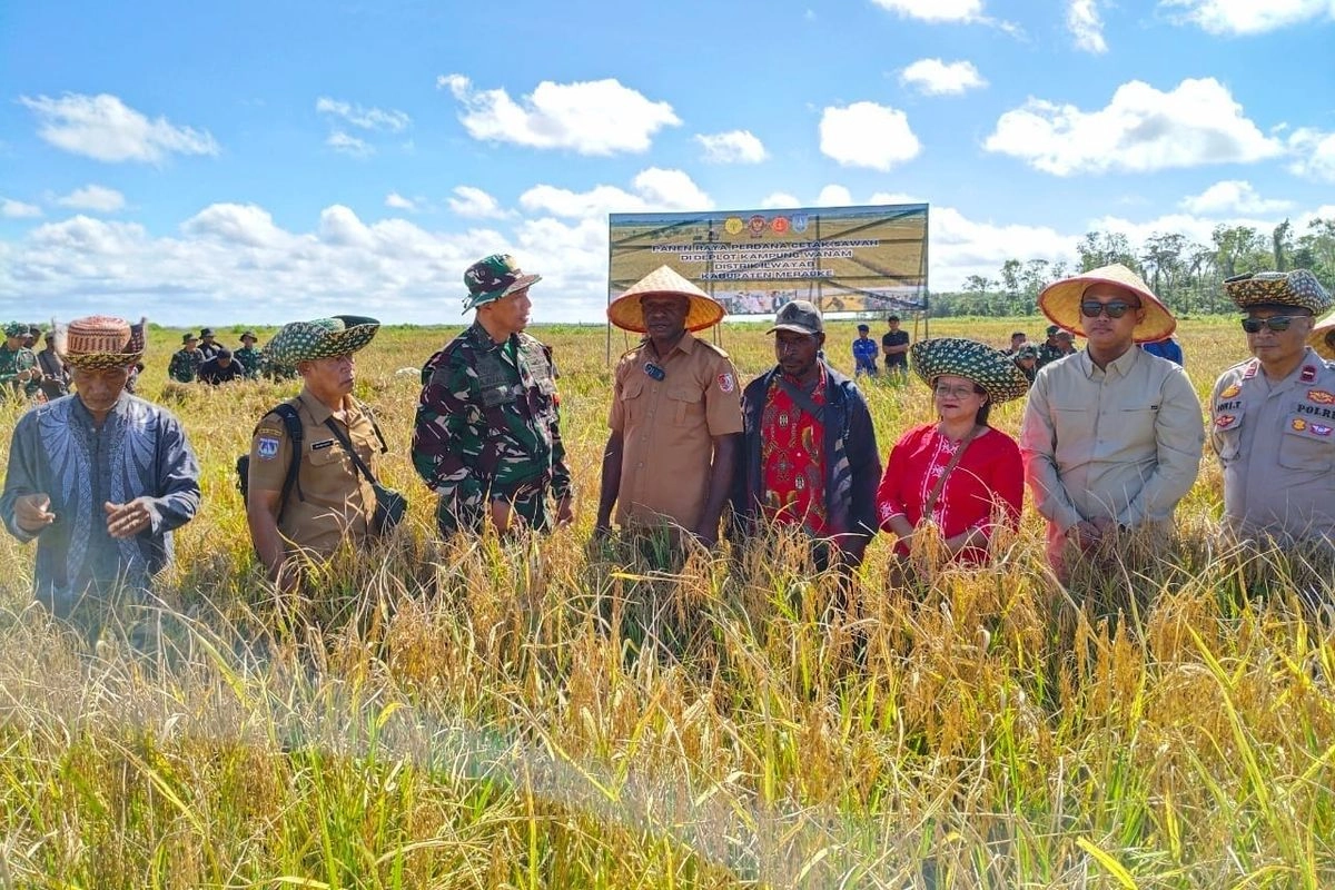 Mentan Amran Sebut Cetak Sawah di Papua Sudah 80.000 Hektare